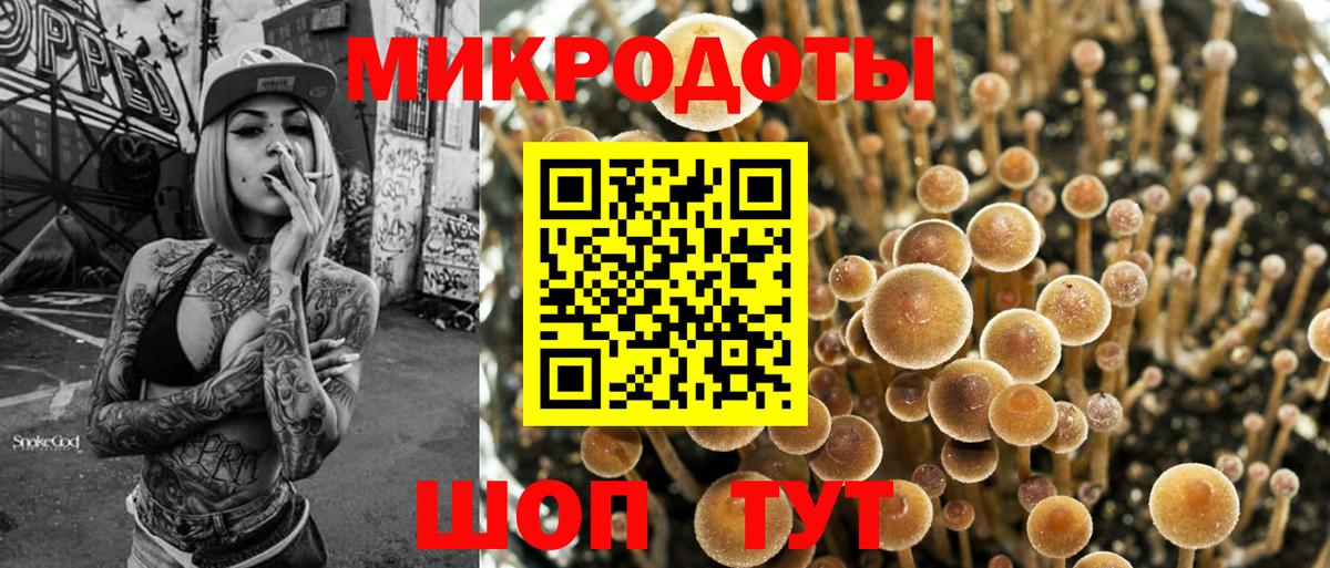 Куйбышев  купить наркоту  Вход с VPN  Псилоцибиновые грибы MAGIC MUSHROOMS 