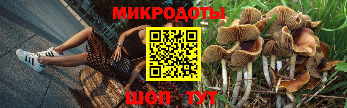 Галлюциногенные грибы Magic Shrooms Куйбышев